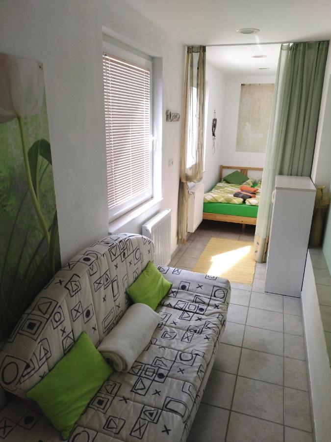 Apartma Peter1A Begunje na Gorenjskem Exteriör bild